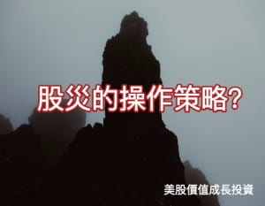討論：艾蜜莉預防股災的操作策略