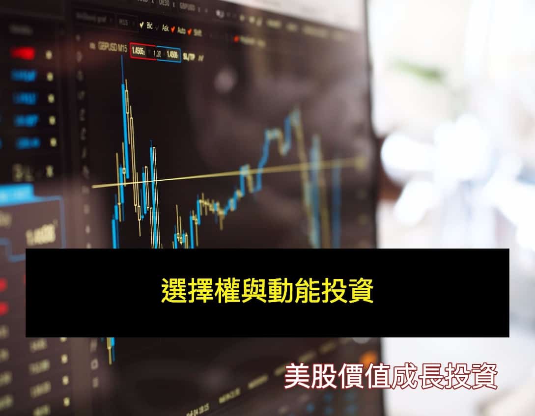 選擇權與動能投資- 美股價值成長投資